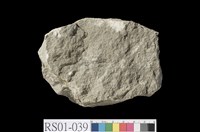 藏品(砂岩)的圖片